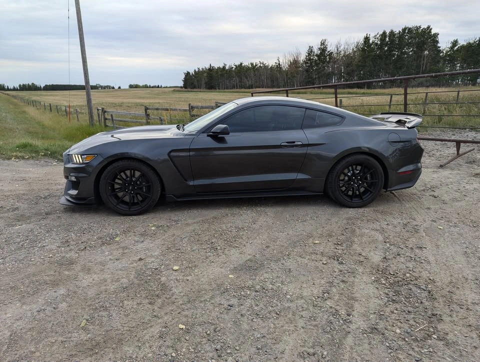 2019 Ford Shelby GT350 - photo 2