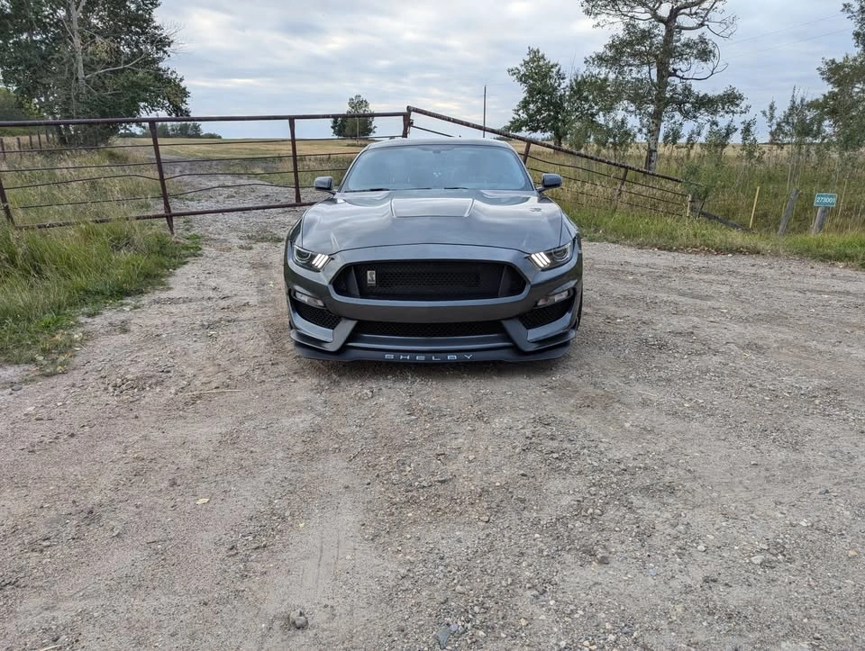 2019 Ford Shelby GT350 - photo 3