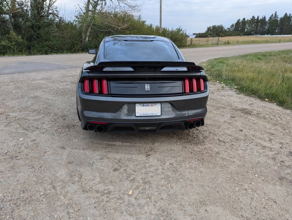 2019 Ford Shelby GT350 - photo 5