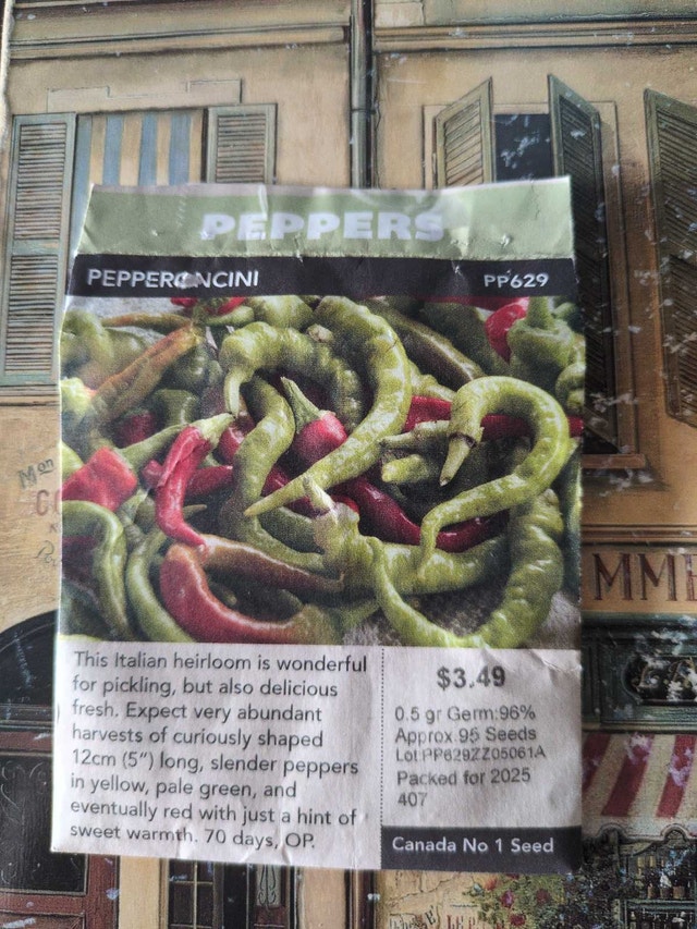 Collection of vegetable/herb seeds