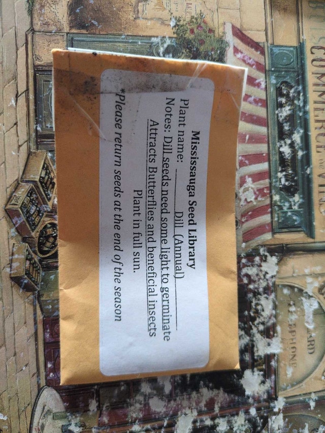 Collection of vegetable/herb seeds - photo 2
