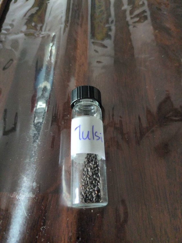 Collection of vegetable/herb seeds - photo 4