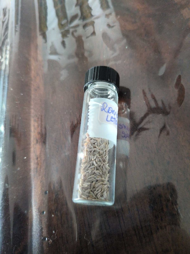 Collection of vegetable/herb seeds - photo 5