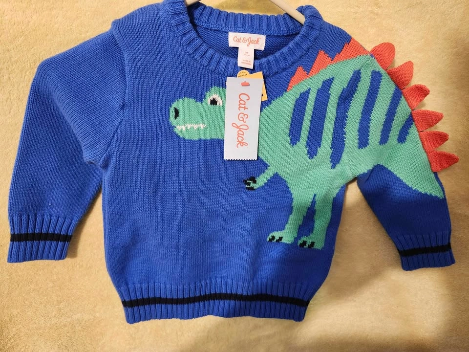 2T Cat & Jack Dino Sweater