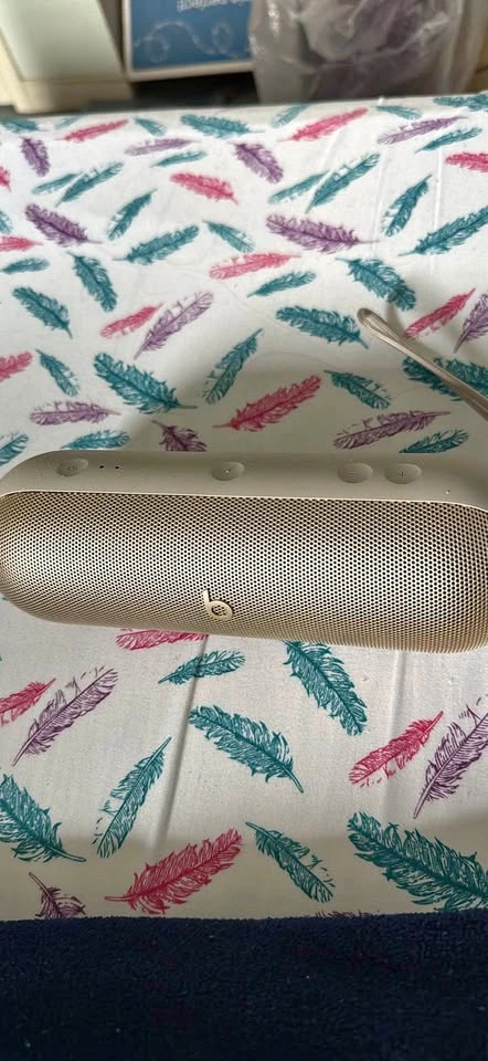 Beats Pill 2024