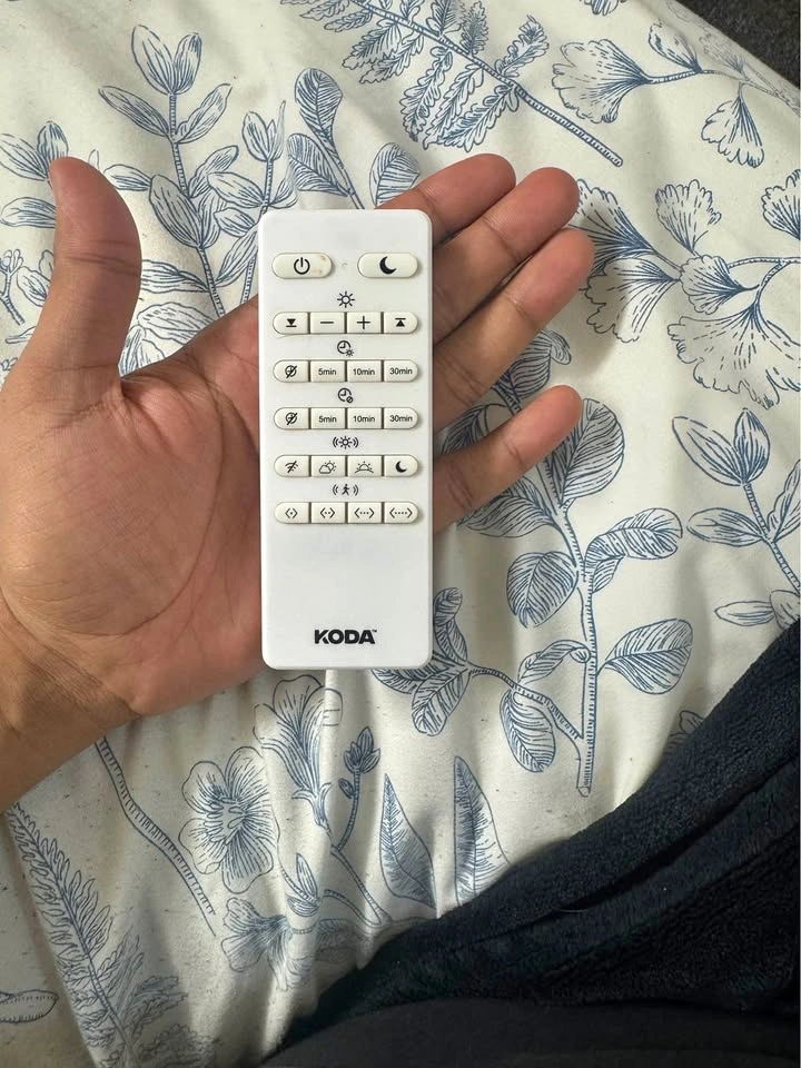 Koda smart remote controlled light