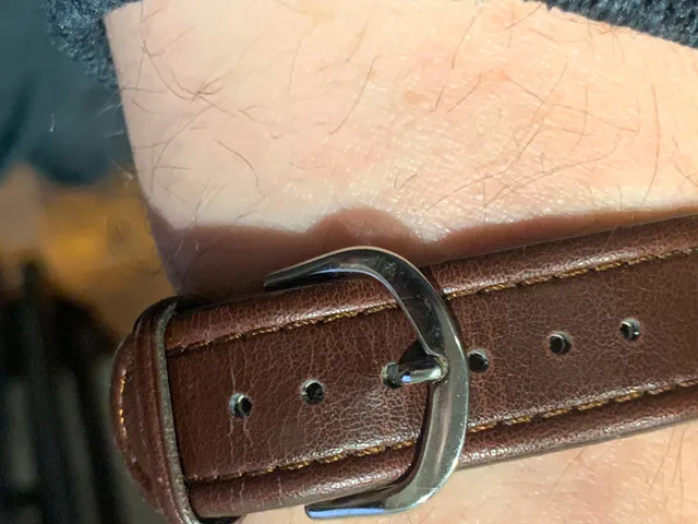 Men's Sports Illustrated Quartz watch image indicator(8)