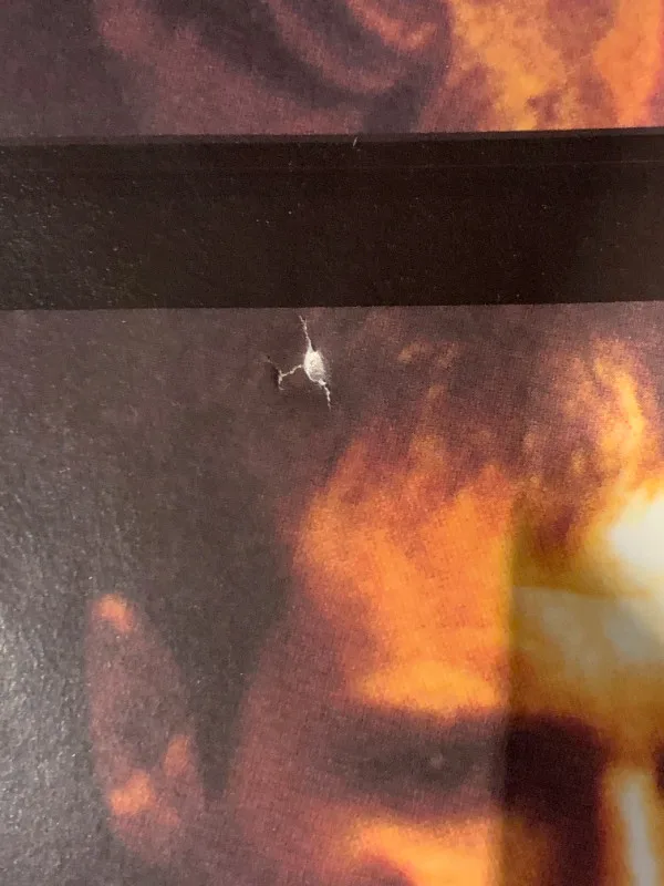 Vintage Blade Runner 1982 UK Ladd Co Movie Poster image indicator(4)