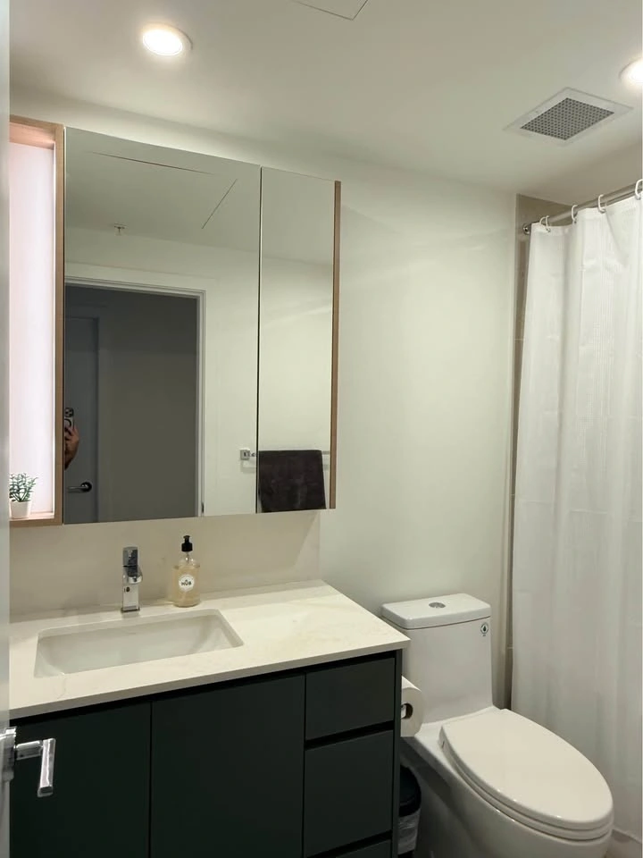 1 Bed 1 Bath - Apartment - photo 5