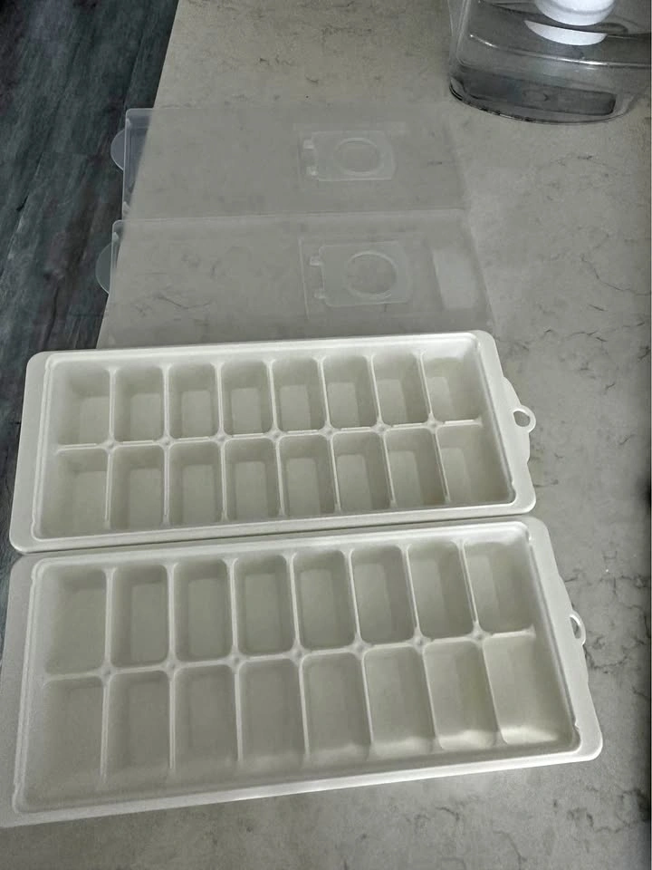 Moving sale: 2 sets of ice trays with lids