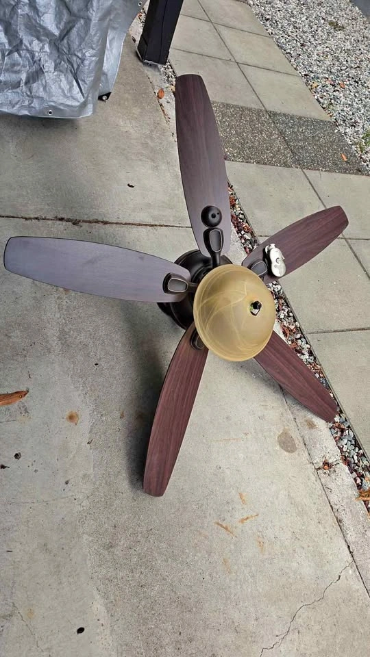 Hunter 5-Blade Ceiling Fan with Light Kit