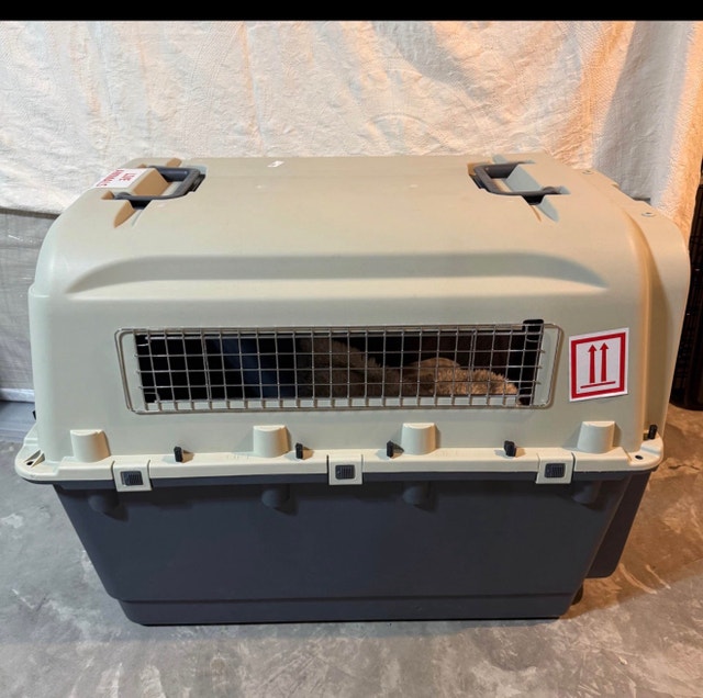 Petmate XL Dog Crate IATA-airline compliant