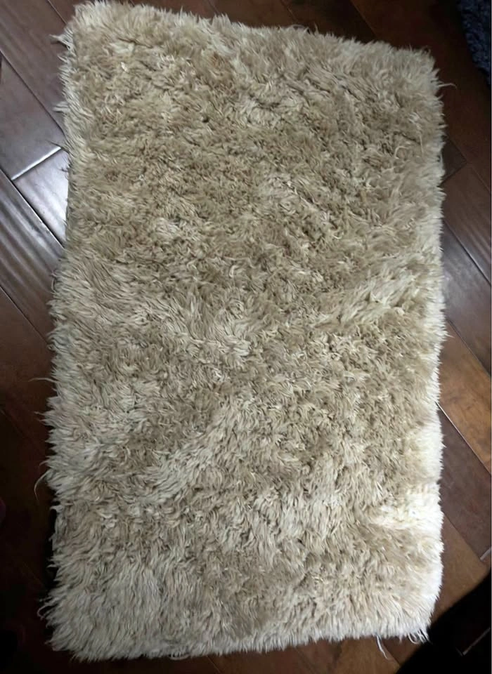 Home Dynamix Shag Rug