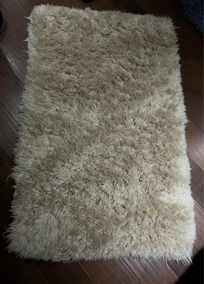 Home Dynamix Shag Rug - photo 2
