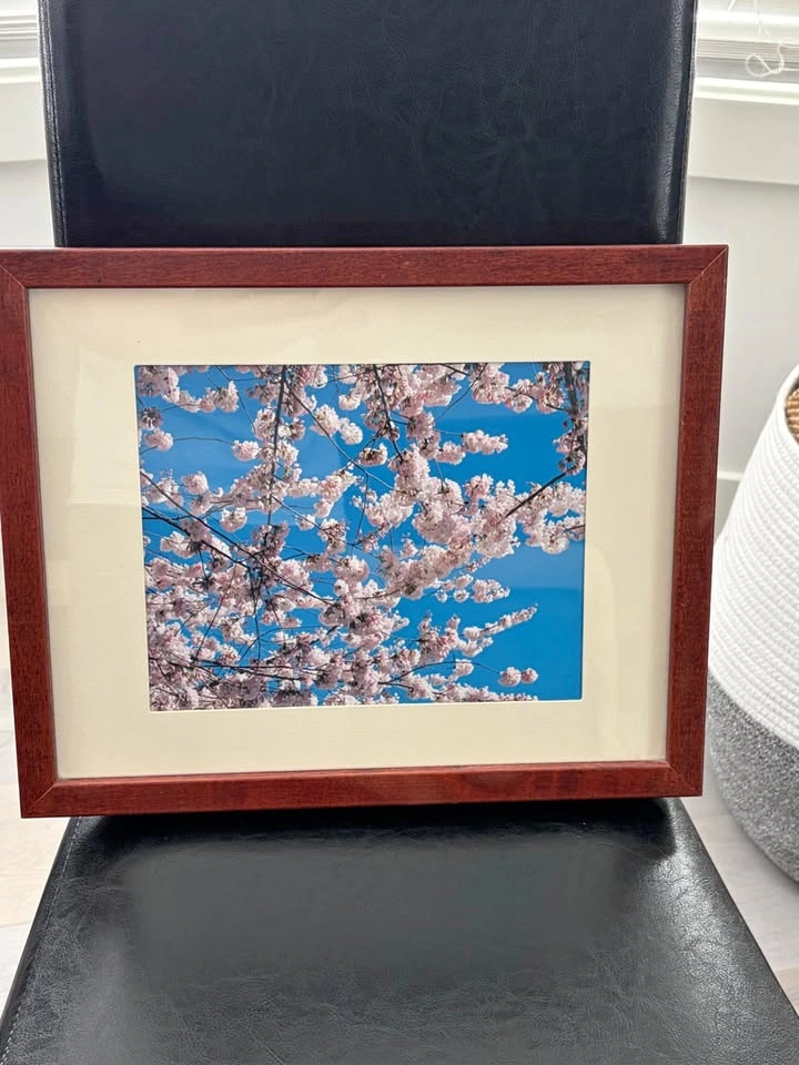 Large Picture Frame Cherry Blossom