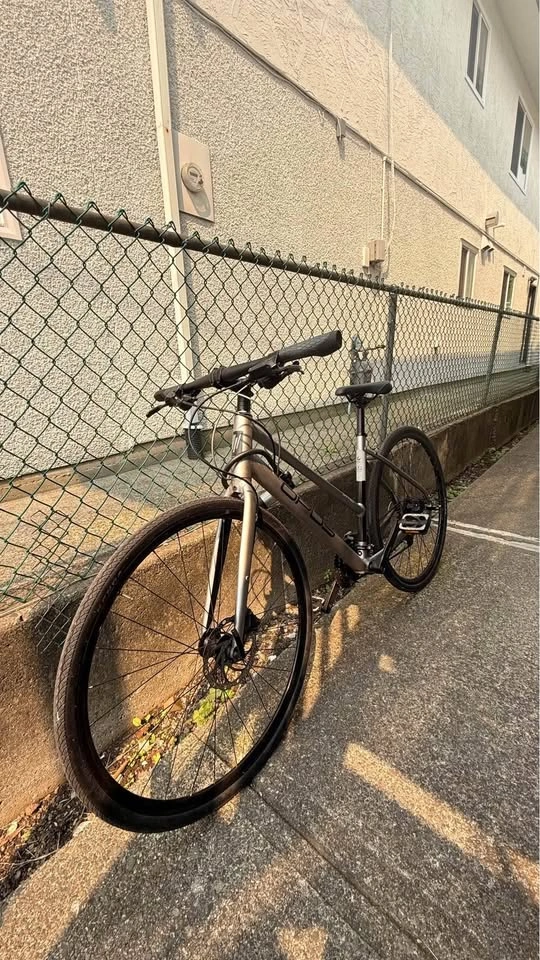 Bike Opus Orpheo 3 - photo 3