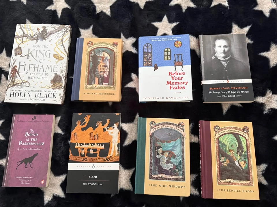 Good quality Fantasy/Classic book bundle - photo 4