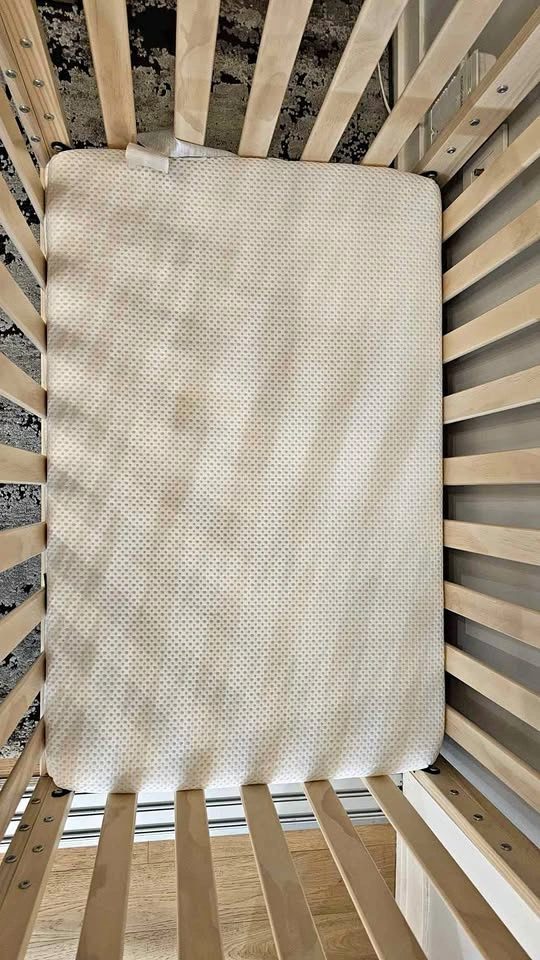 Newton Mini Crib Mattress
