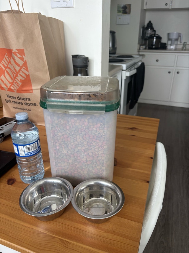 Cat items for sale - photo 3