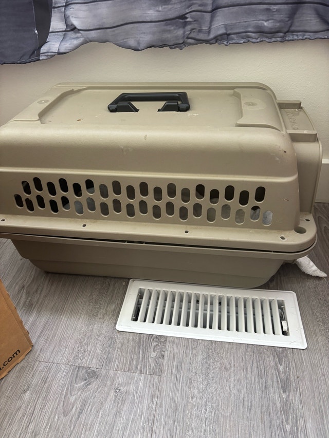 Cat items for sale - photo 5