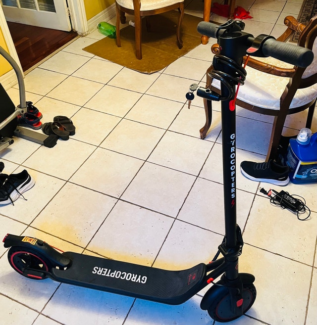 Gyrocopters Electric Scooter