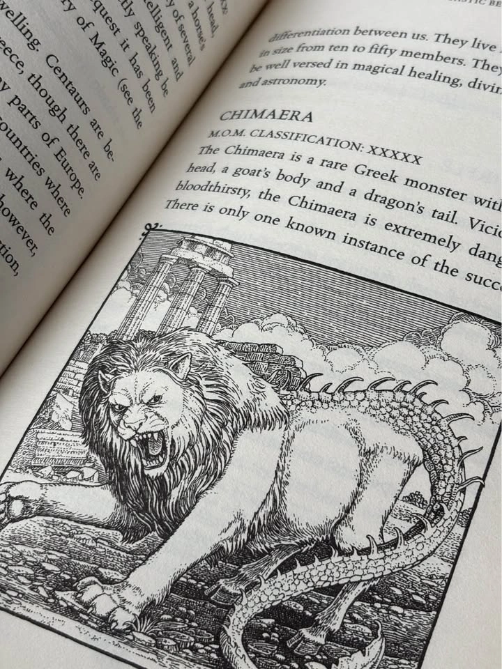Fantastic beasts books - photo 4
