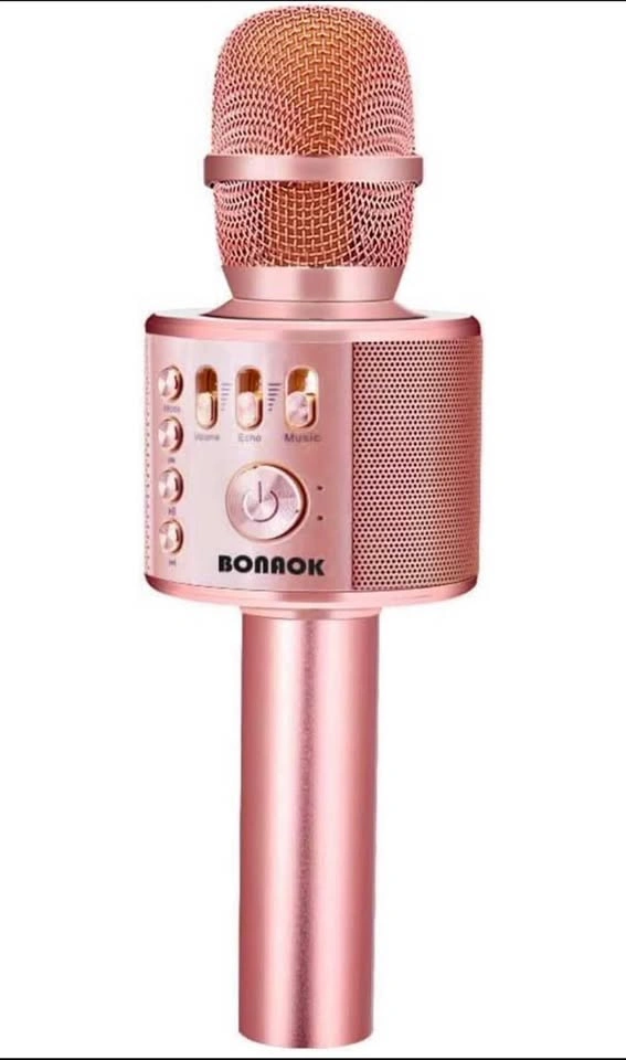 Karaoke Mic