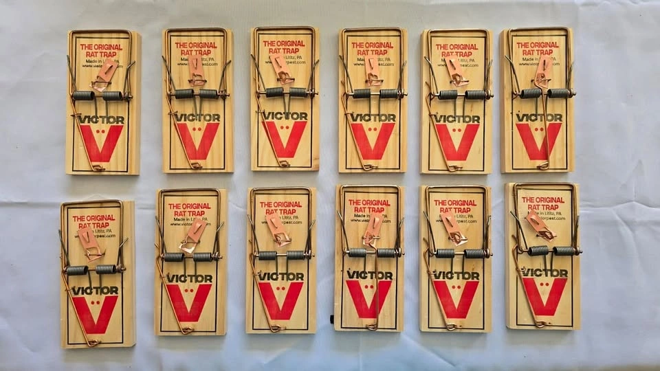 Snap Rat Traps (12 Pack)