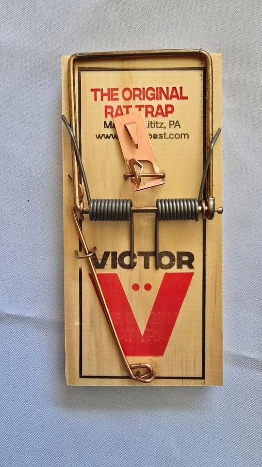 Snap Rat Traps (12 Pack) - photo 2