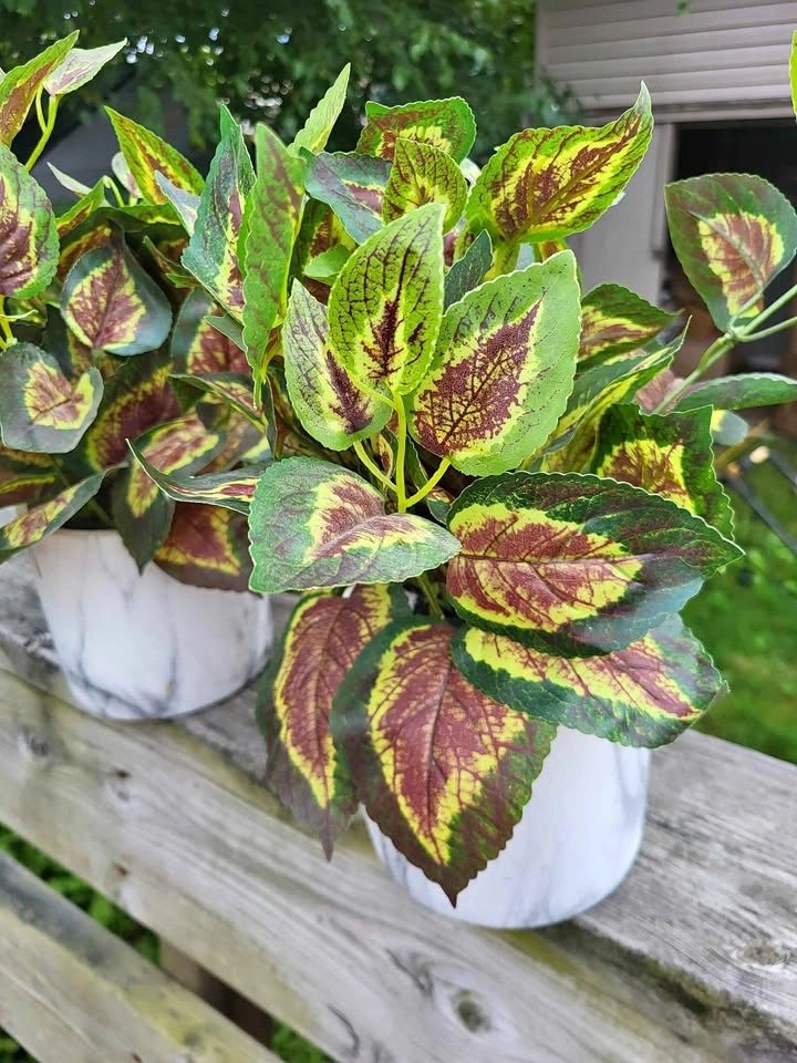 2 fake plants