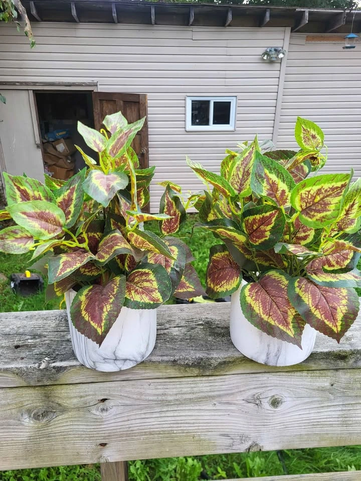 2 fake plants - photo 2
