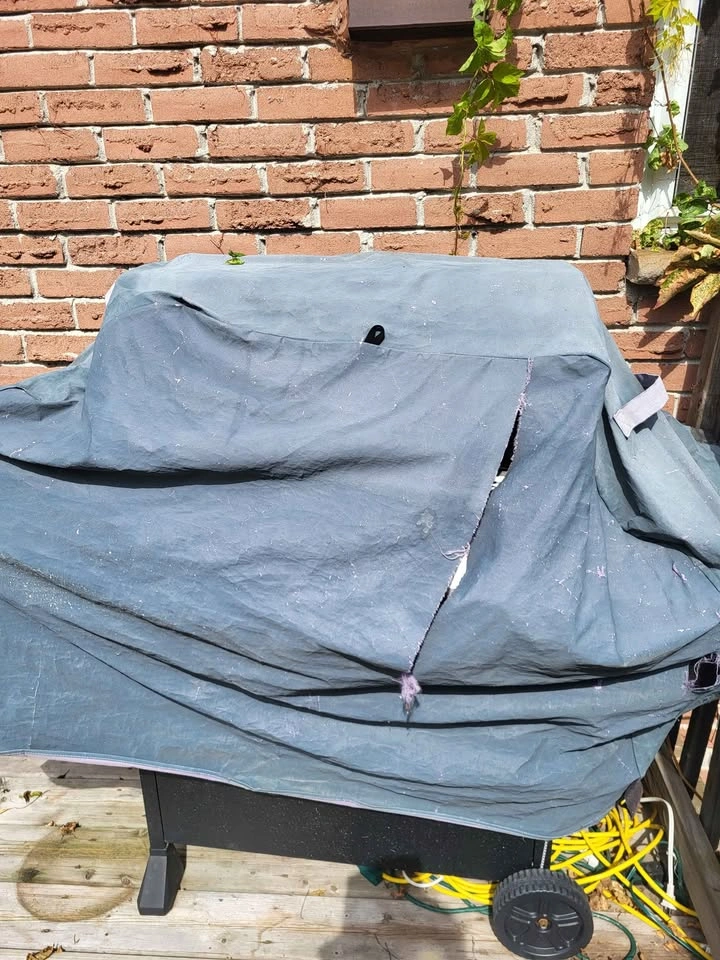 Grill - photo 2