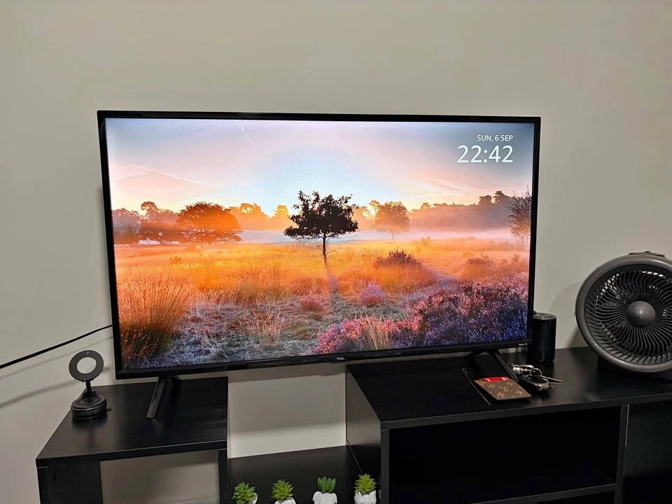 TCL TV with Amazon Fire TV Stick