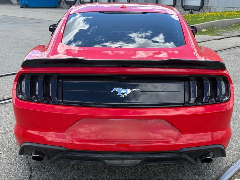 2019 Ford Mustang With only 63,000 KM - photo 4