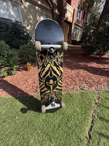RARE Darkstar Skateboard 7.25 Complete with Tensor Slides 2013