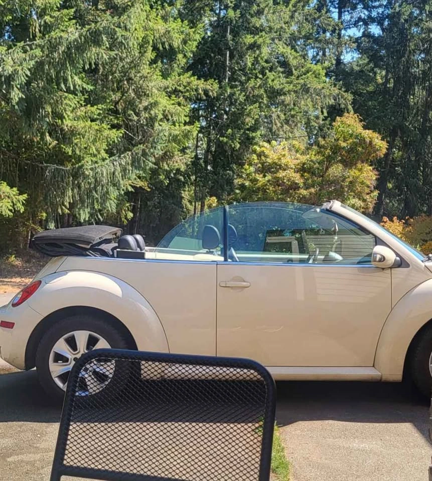 2010 Volkswagen Beetle - photo 3