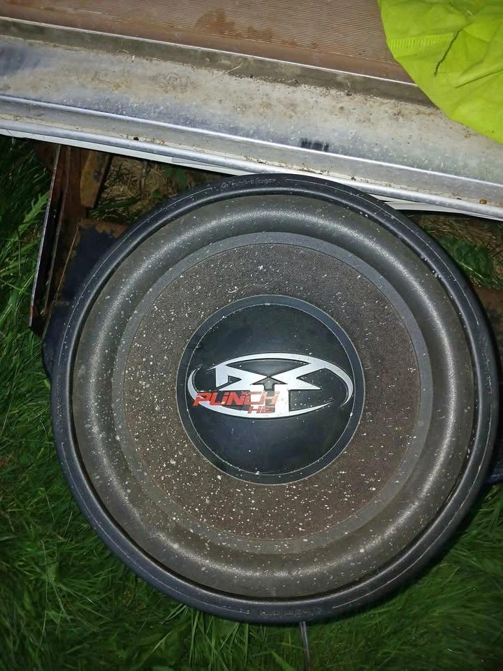 12 inch subwoofer