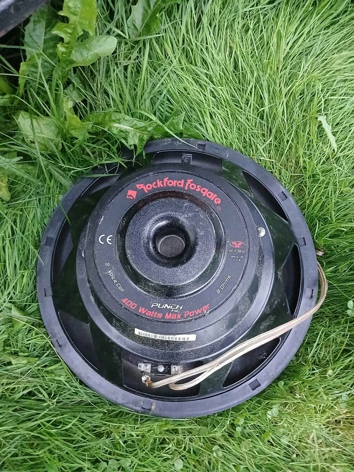 12 inch subwoofer - photo 2