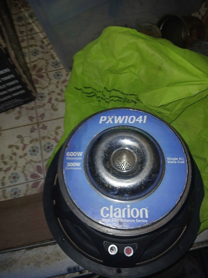 10 inch subwoofer - photo 2
