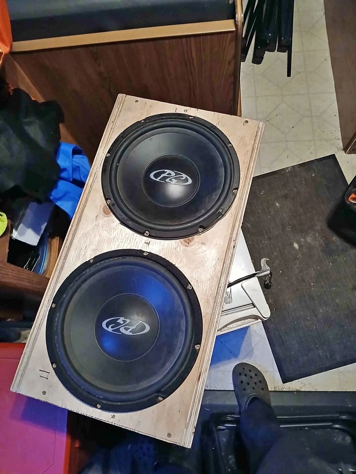 2 12 inch subs