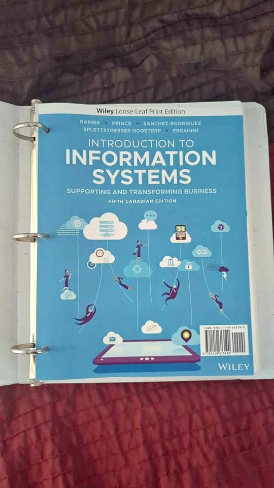 Introduction to Information Systems 5th Canadian Edition