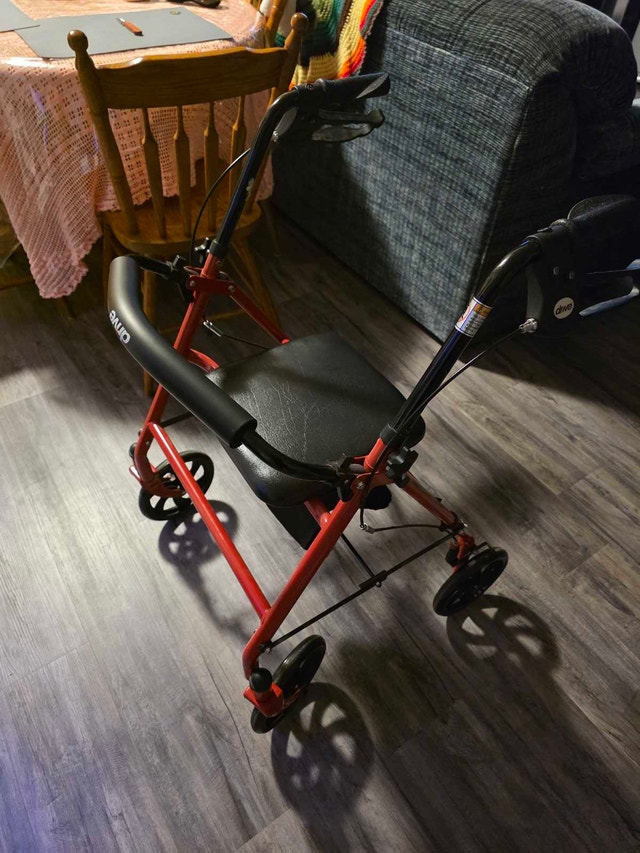 Walker (Rollator) - photo 2