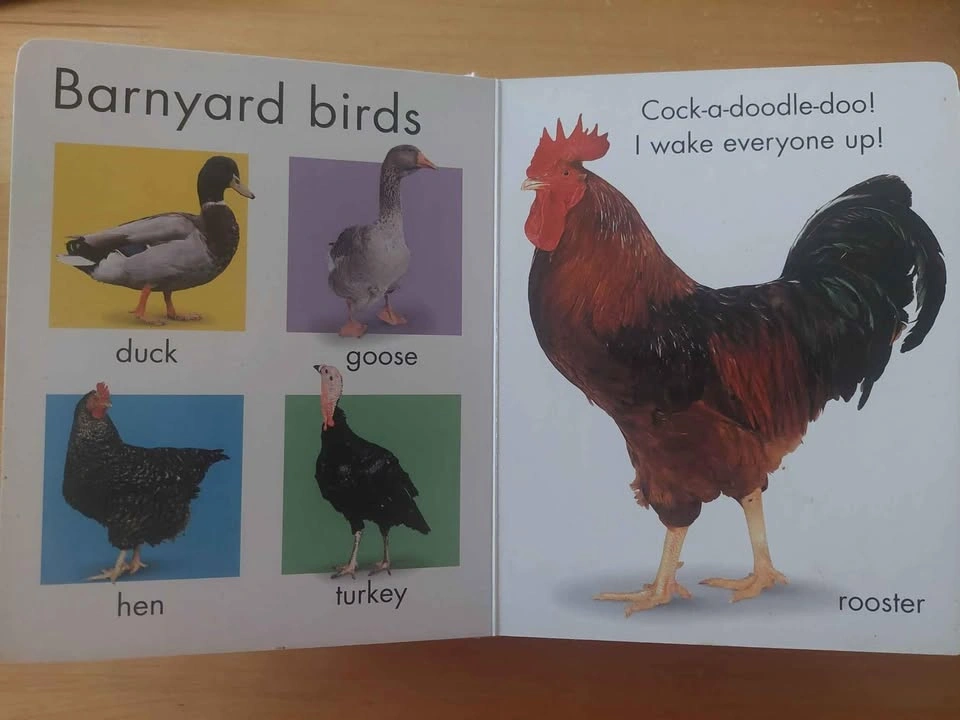 Baby Board Books - photo 2