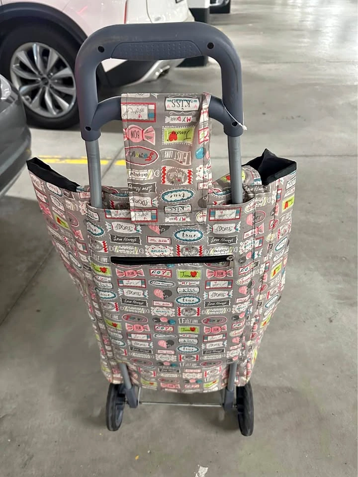 Moving Sale: 2-Wheel Pink Printed Shopping Cart