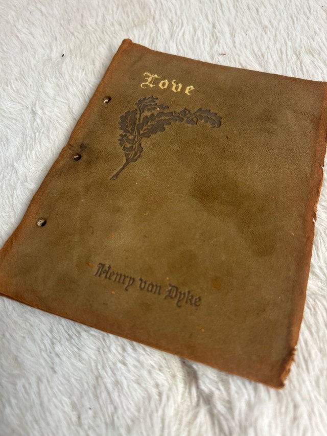 1920-30’s Antique Book Collection - photo 4