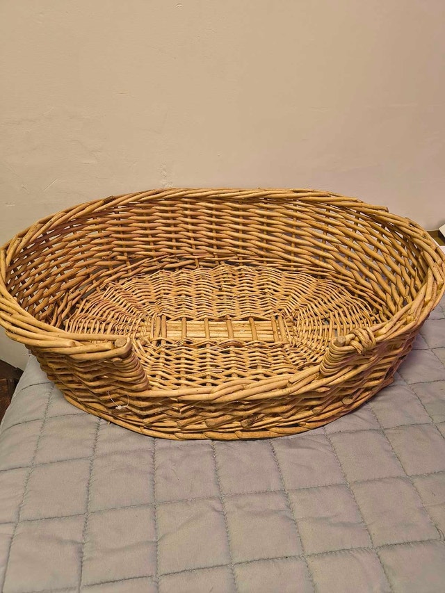 Pet Basket
