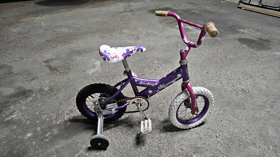 Nakamura Adventure Purple Kids Bike