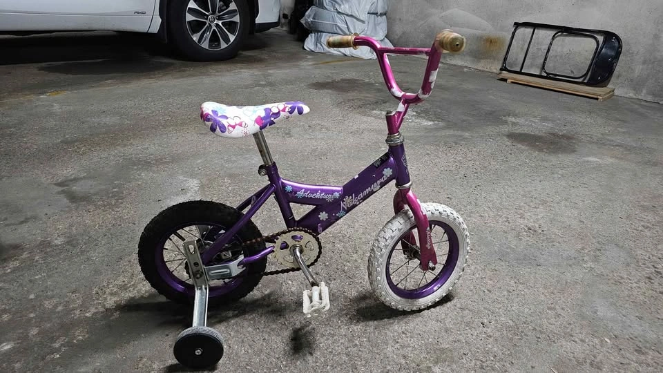 Nakamura Adventure Purple Kids Bike - photo 2