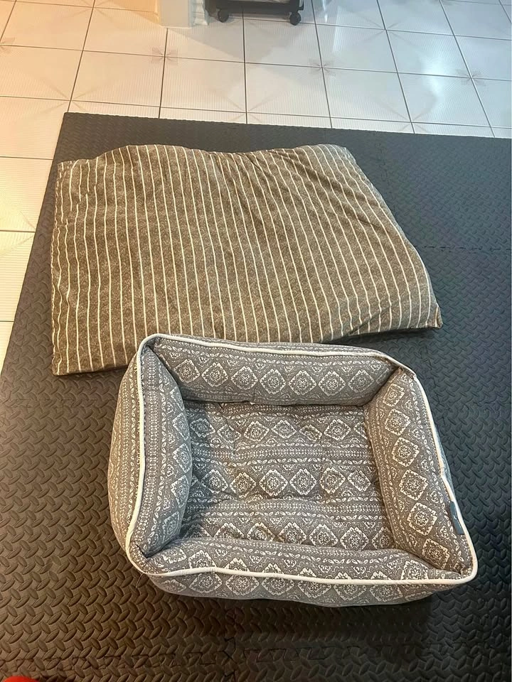 Ciao Ciao Dog Bed and Pillow Set