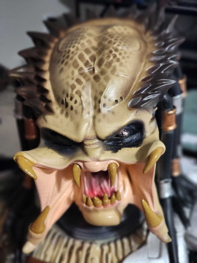 Predator Bust 14 inch